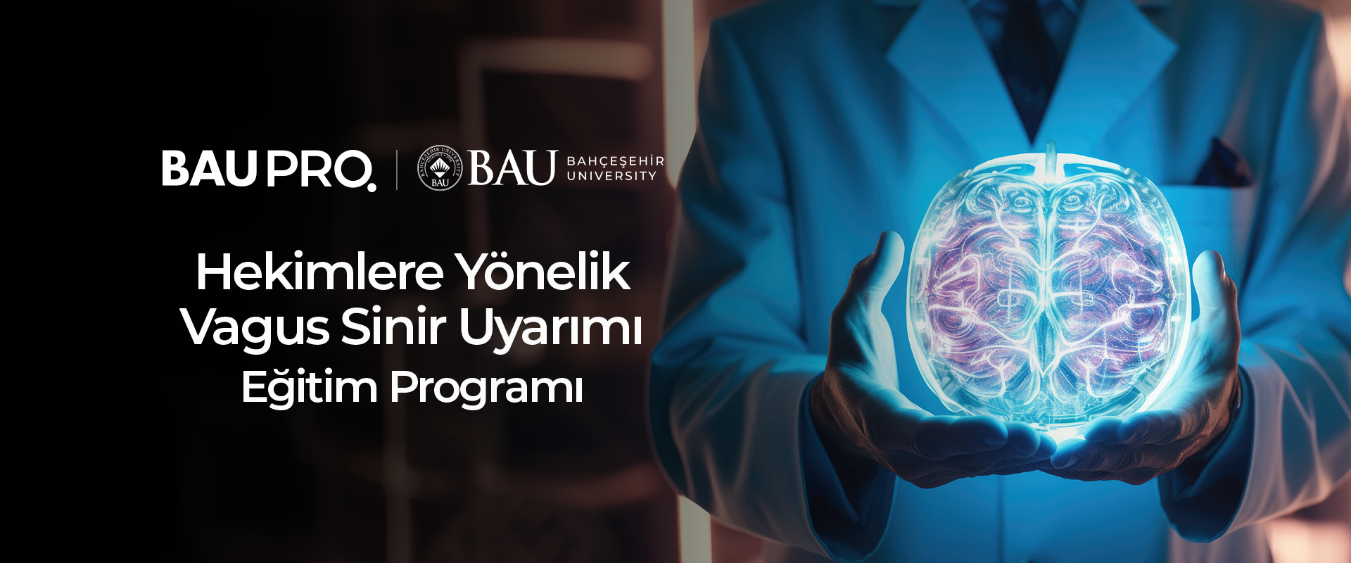 Hekimlere Yönelik Vagus Sinir Uyarımı Eğitim Programı 